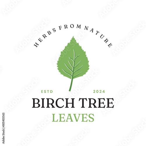 Birch leaf natural herbal organic vector logo design, natural sweetener birch leaf