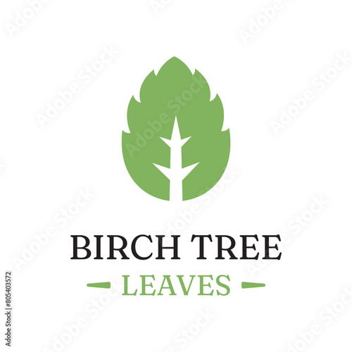 Birch leaf natural herbal organic vector logo design