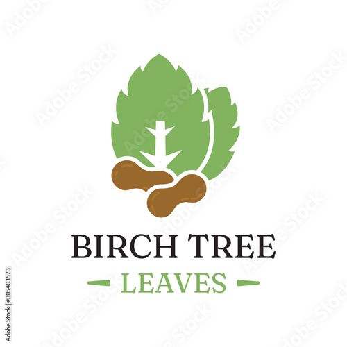 Birch leaf and peanut natural herbal organic vector logo design