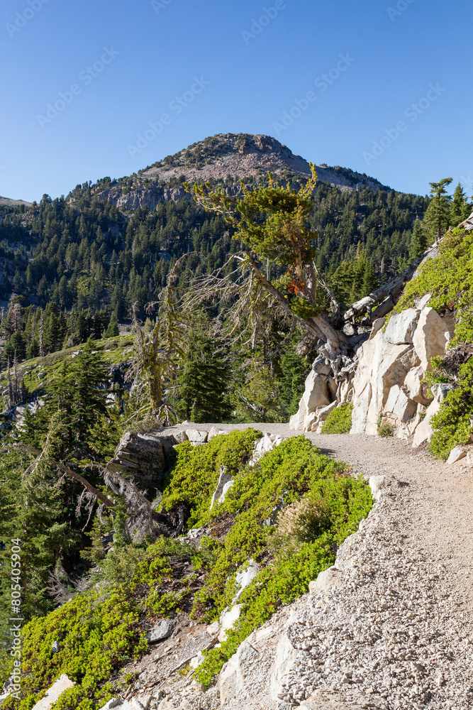 a small hiking path next to a hillside through the lassen volcanic national park, california a small hiking path next to a hillside through the lassen volcanic national park, california