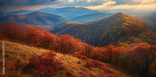 Incredible view of the Bieszczady Mountains in Poland. photo