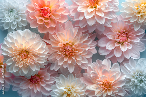 pink flowers © Jittrawan