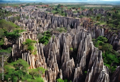 A view of the Tsingy de Bemaraha in Madagascar