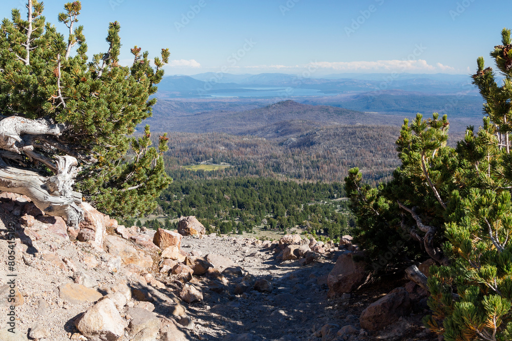 a small hiking path next to a hillside through the lassen volcanic national park, california a small hiking path next to a hillside through the lassen volcanic national park, california