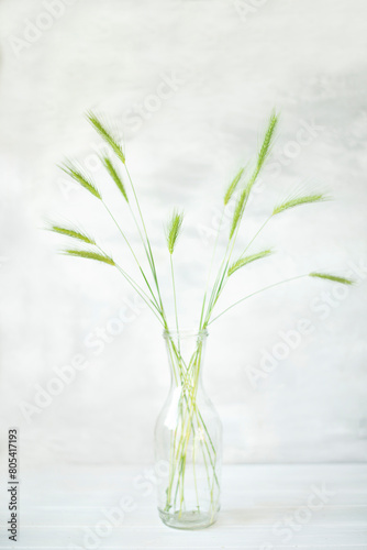 Tender green ears in a transparent bottle. artistic interior light photo. poster Very soft focus.