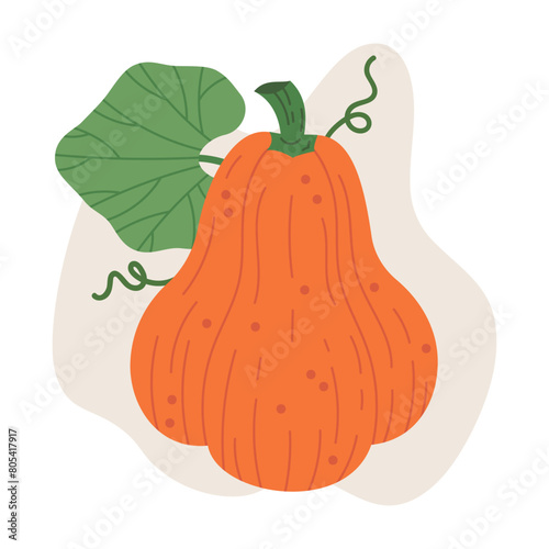Halloween holiday pumpkin. Cute orange traditional squash vegetable, october harvest pumpkin decoration flat vector illustration. Halloween holiday pumpkin on white