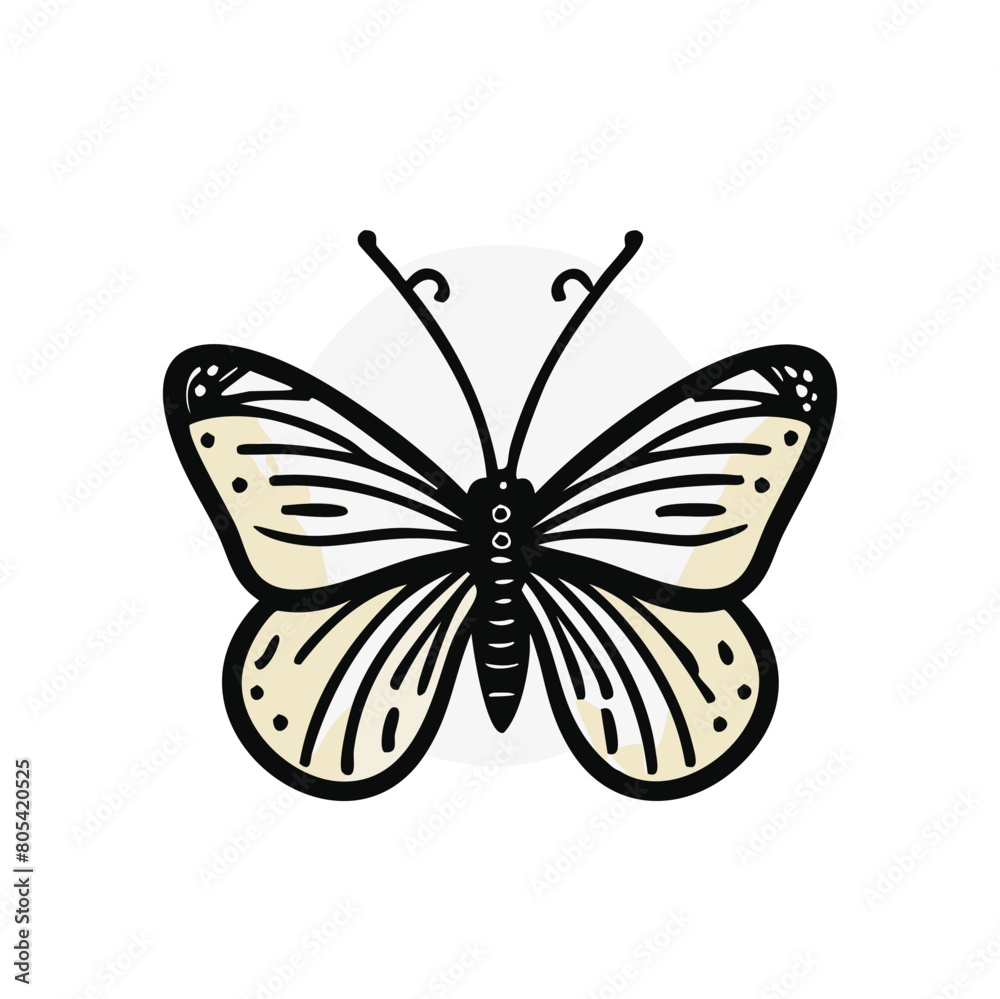 Illustration of Butterfly Illustration of Butterfly