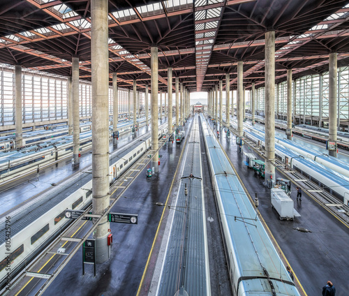 AVE trains, Atocha Railway Station, Madrid, Spain.