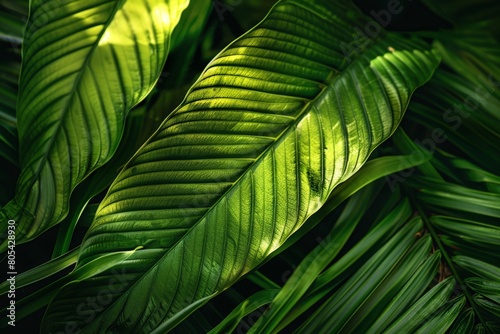 Close-Up Of  Dark green leaves. Beautiful simple AI generated image in 4K  unique.