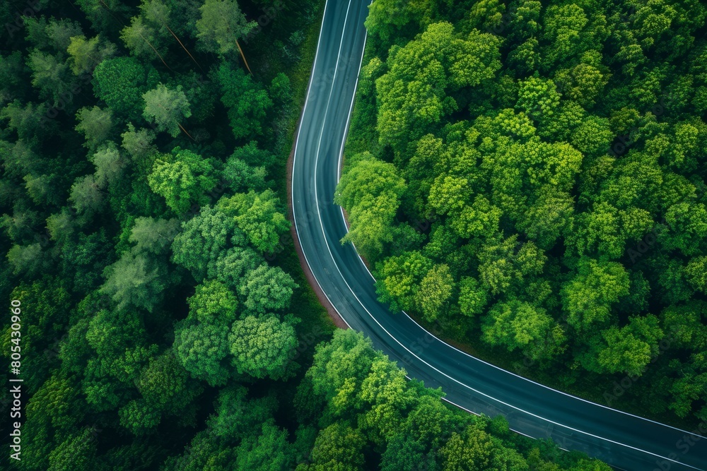 Top view of an asphalt road going through the forest. Top view of an asphalt road going through the forest.