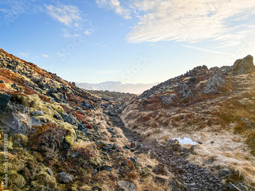 The Hellnahraun lava field between Arnarstapi and Hellnar on Iceland's Snæfellsnes Peninsula photo