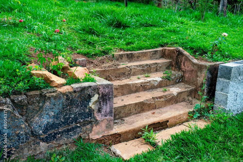 Farm with many trees, flowers on the lawn. Ladder. Farm with many trees, flowers on the lawn. Ladder.