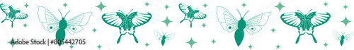 Insect with star line border on transparent background.
