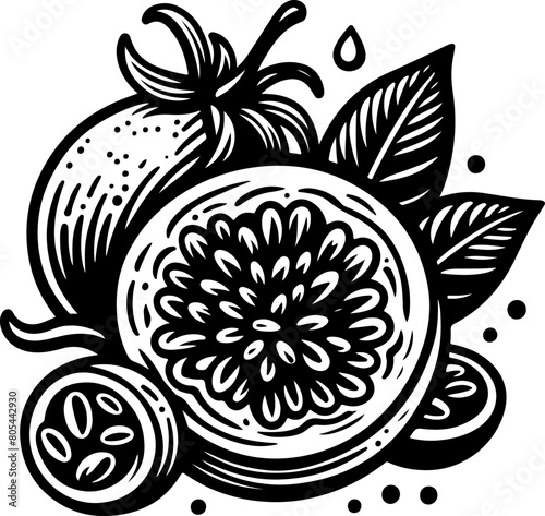 Passion fruit black outline illustration. Coloring book.