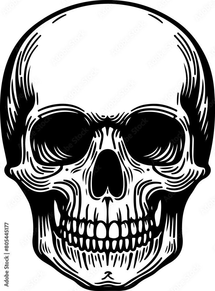Fototapeta premium Skeleton black outline illustration. Coloring book.