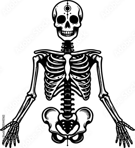 Skeleton black outline illustration. Coloring book.