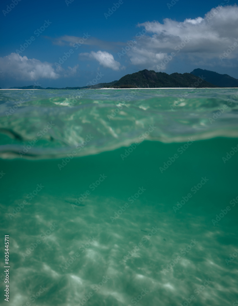 Half-submerged in clean transparent green salt water of coral sea at white silica Whitehaven beach on Whitsunday island of Great Barrier Reef, Australia.