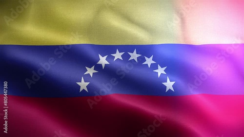 Bandera de Venezuela frontal