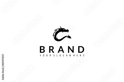 dragon logo in flat vector design