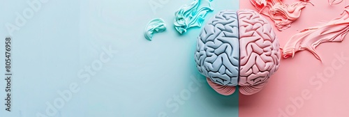Two halves of a human brain placed on a pink and blue background photo