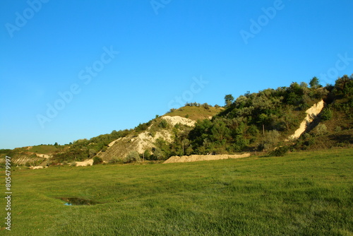 A grassy hill with trees and rocks