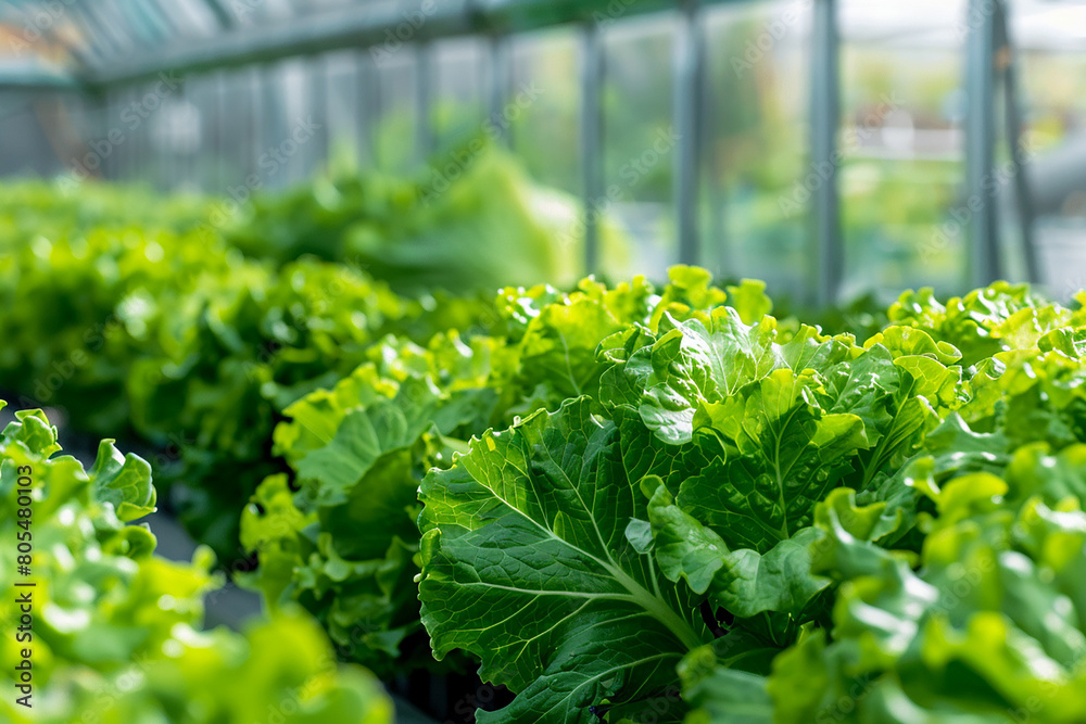 Agriculture, Smart agriculture using AI technologies, futuristic concept of agriculture, growing ecological agriculture using innovative technologies Agriculture, Smart agriculture using AI technologies, futuristic concept of agriculture, growing ecological agriculture using innovative technologies