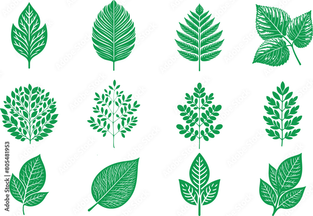 Green Leaf Vector Illustration ,EPS-10 Green Leaf Vector Illustration ,EPS-10