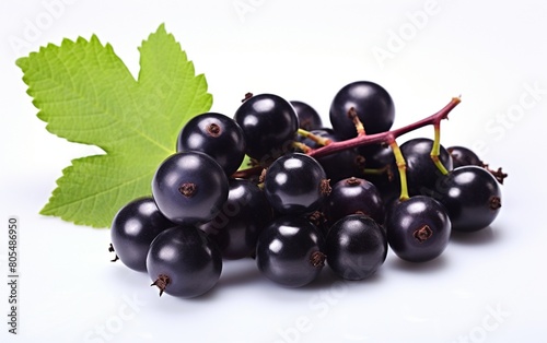Blackcurrant Isolated on White