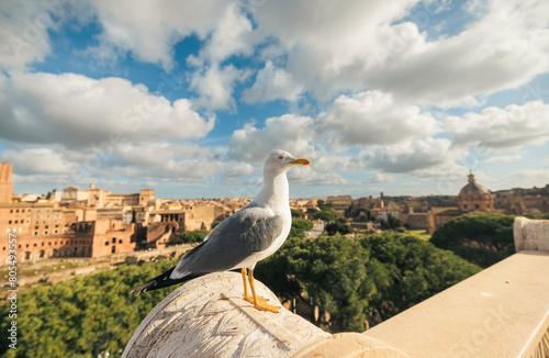 A majestic seagull perches gracefully on the ledge of a towering urban building, observing the bustling city below with keen eyes