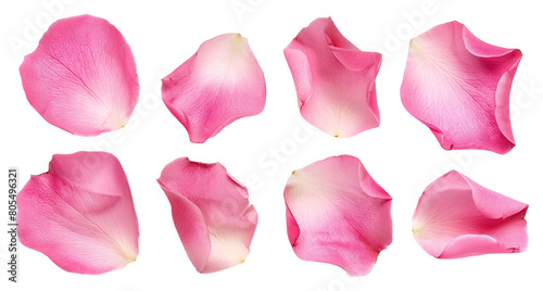 Fototapeta Naklejka Na Ścianę i Meble -  Set of pink rose petals, cut out