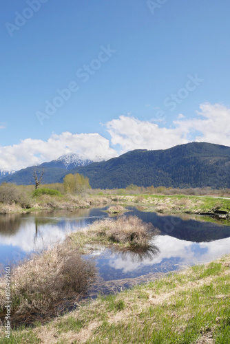 Pitt River Dike Scenic Point during a spring season in Pitt Meadows  British Columbia  Canada
