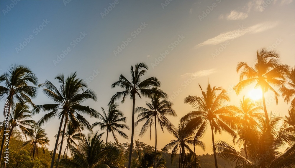 Tropical background with palm trees on a stunning sunset Tropical background with palm trees on a stunning sunset