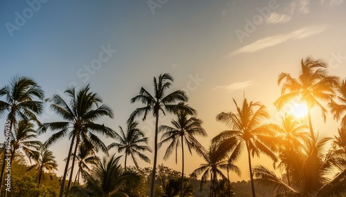 Tropical background with palm trees on a stunning sunset © juanorihuela