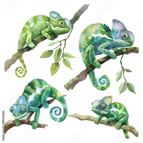 Watercolor painting of chameleon set, isolated on a white background, chameleon vector, drawing clipart, Illustration Vector, Graphic Painting, design art, logo