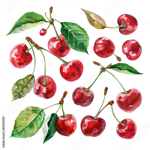Watercolor vector of a cherry set, isolated on a white background, design art, drawing clipart, Illustration painting, Graphic logo, cherry vector 