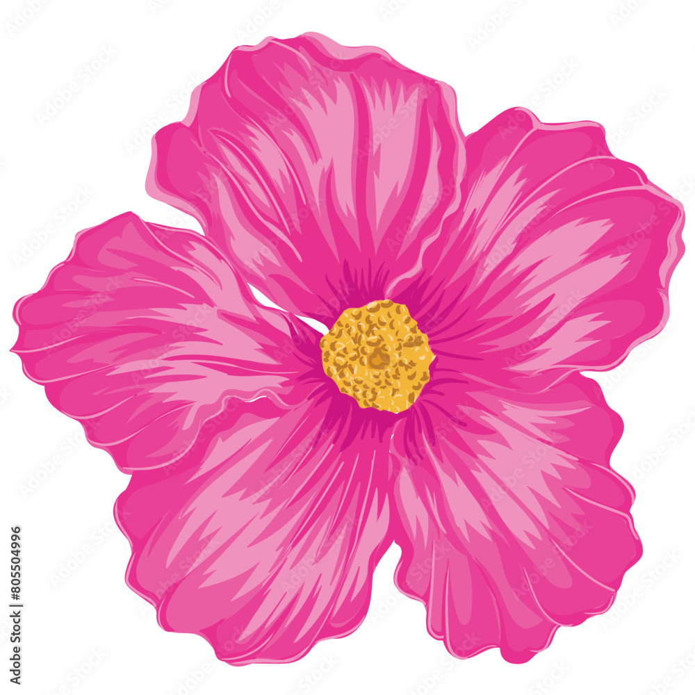 hibiscus flower with color hand draw style