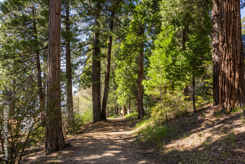 The  south shore trail in Lake Arrowhead in California. Shot 3 May 2024.