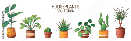 Set of vector houseplant: pilea, aglaonema, ficus, cactus, dracaena plant. Illustration of home plants for interior decor, decoration of gardening shop. Home garden, gardening concept.