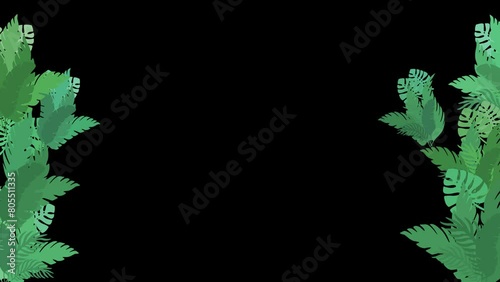 4k resolution animation of Green grass waving movement on the black background, Natural leaf swaying in the wind rendered in 4k resolution, jungle concept for a story or rhymes photo