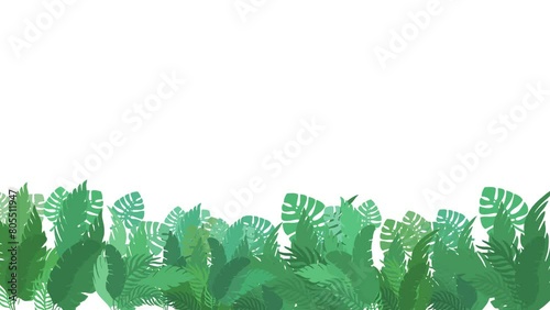 Green grass animation on the white background, leaf swaying in the wind renders in 4k resolution,  jungle concept for a story or rhymes photo
