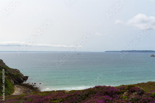 Au premier plan, un parterre de bruyères aux fleurs violettes offre un spectacle coloré, dominant la majestueuse mer d'Iroise, une harmonie de beauté naturelle sur la presqu'île de Crozon.