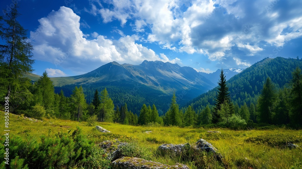Scenic mountain landscape with pine forest and green meadow