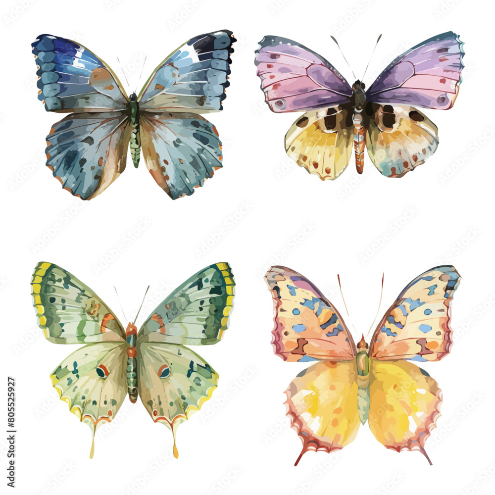 Watercolor vector of butterfly set, isolated on a white background ...
