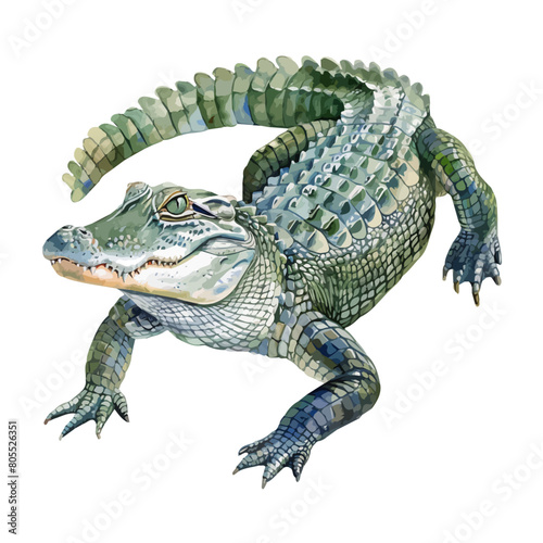 Watercolor painting of a alligator (crocodile), isolated on a white background, alligator vector, drawing clipart, Illustration Vector, Graphic Painting, design art, logo photo