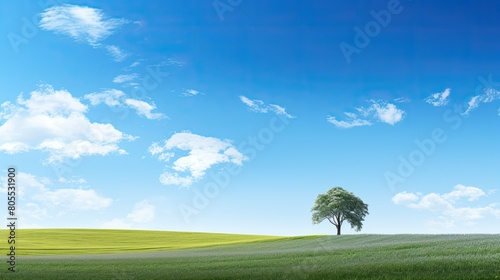 Peaceful countryside landscape with lone tree