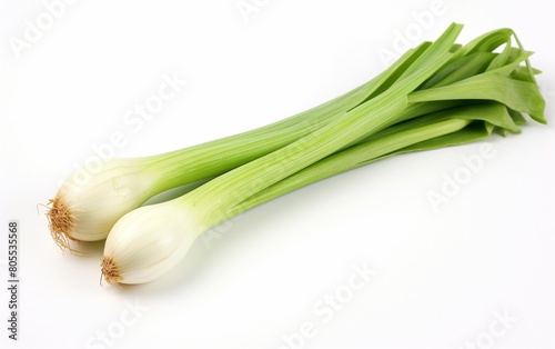 Leek Against Clean White Background