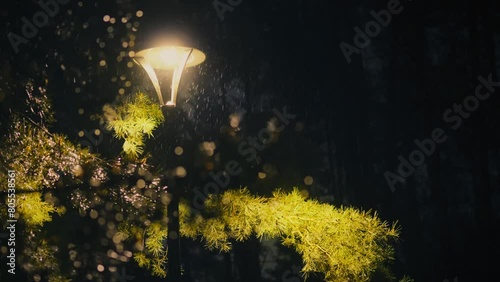 Night rain is visible as drops of water falling against the background of the light of a lamppost in a dark summer park. The night lamp shines with a warm bright light showing how it is raining photo