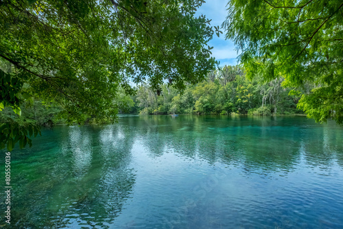 Silver River  Silver Springs State Park  Florida