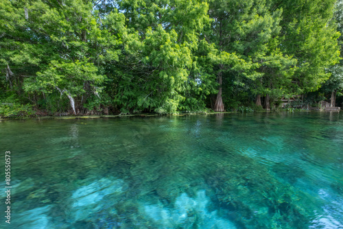 Silver River  Silver Springs State Park  Florida