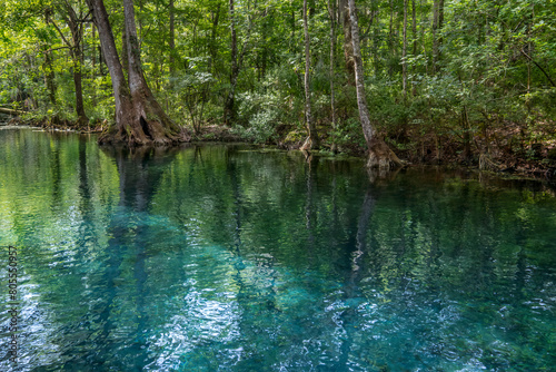Silver River, Silver Springs State Park, Florida